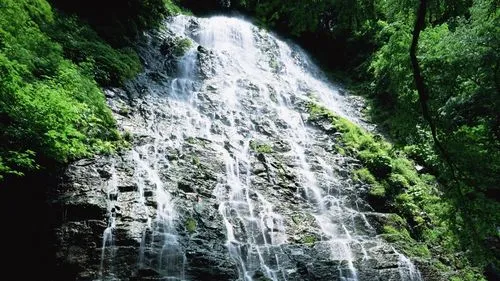 高标准独特先进
